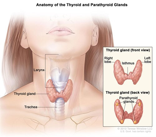 Hyperthyroidism